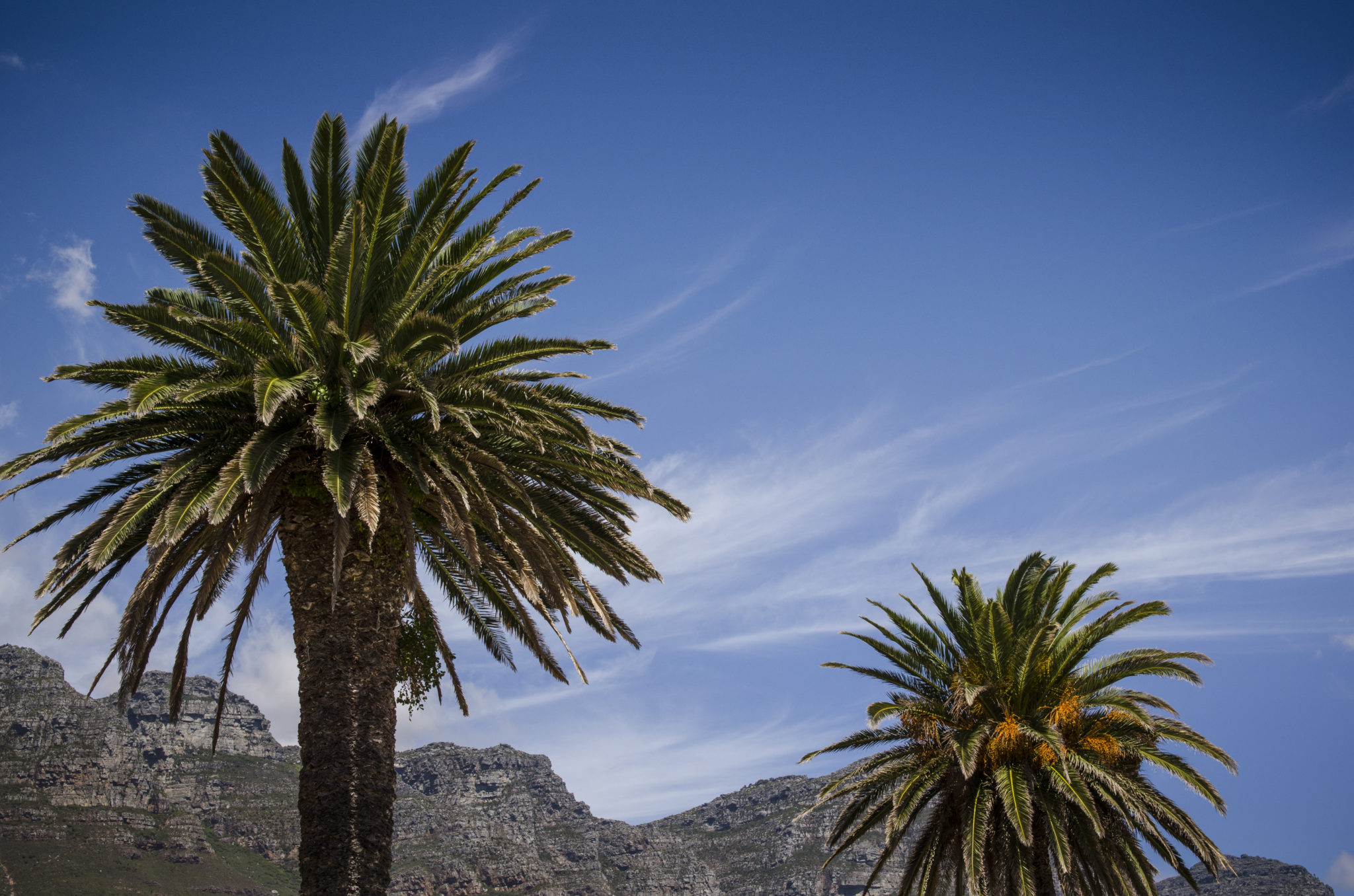 Camps Bay in Kapstadt gehört zu den besten Südafrika Reisetipps