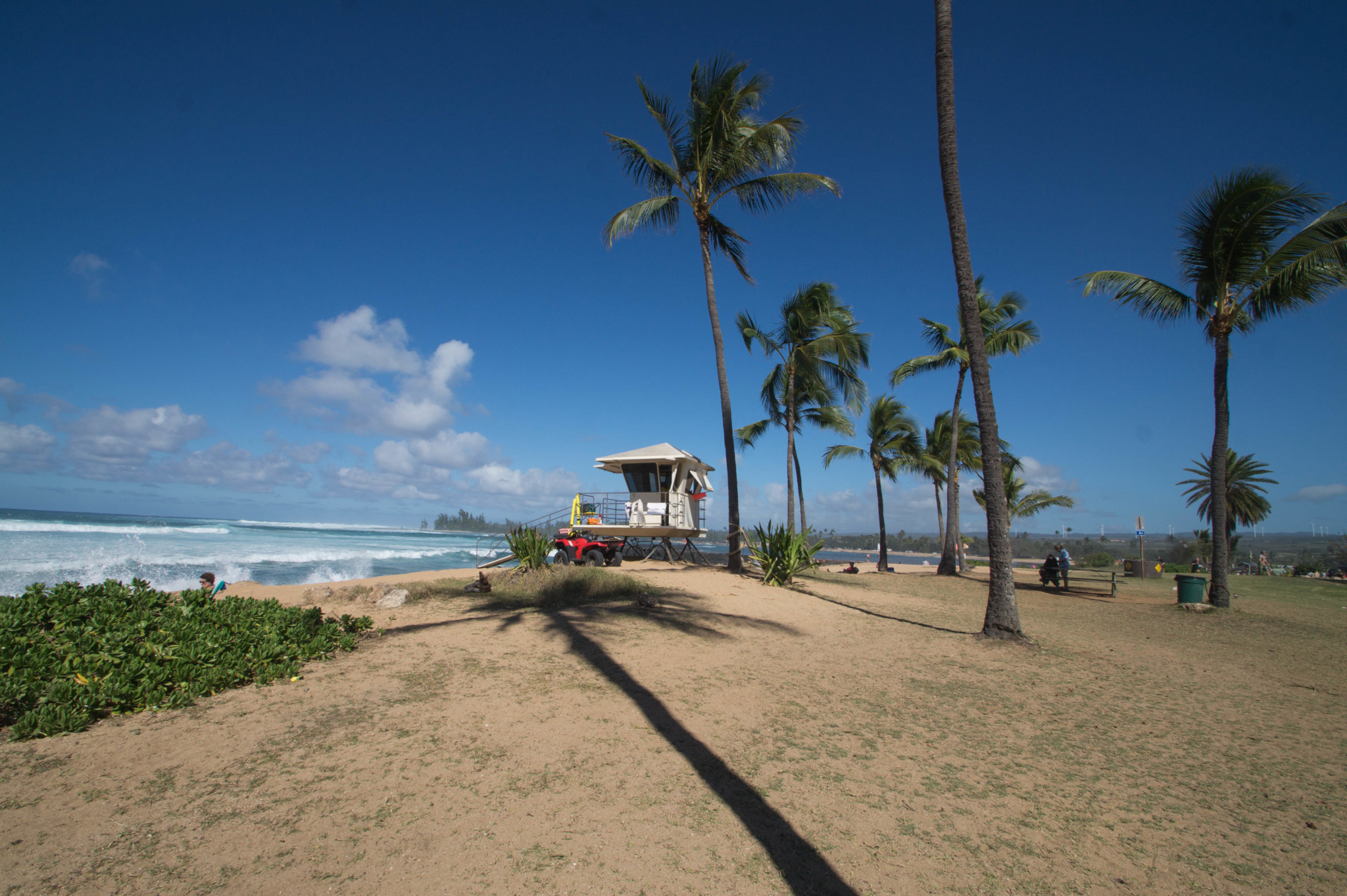 Hawaii Reisen planen und dabei nicht den Trip an die North Shore von Oahu vergessen