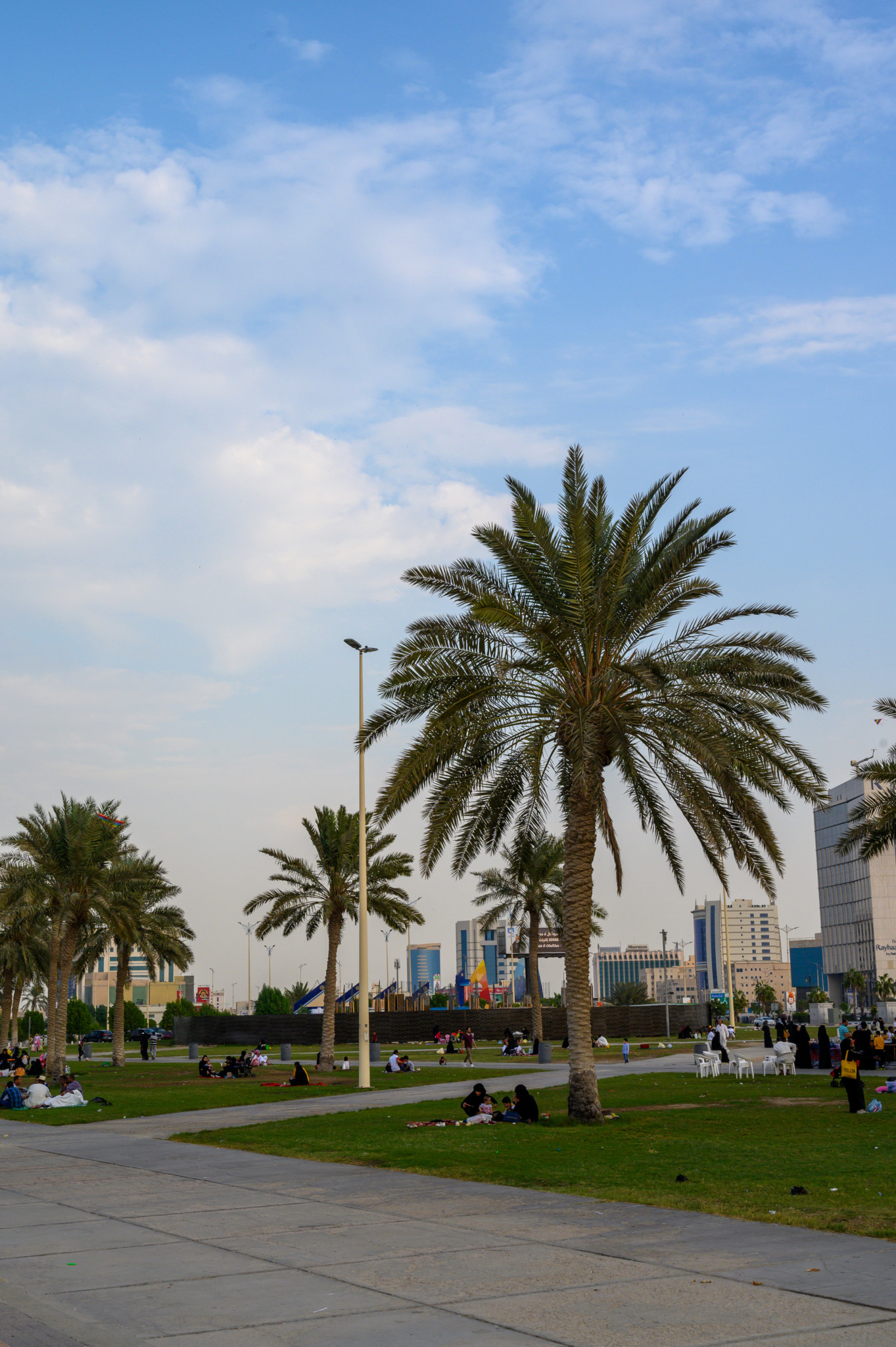 Palmen gibt es an der Dammam Corniche überall
