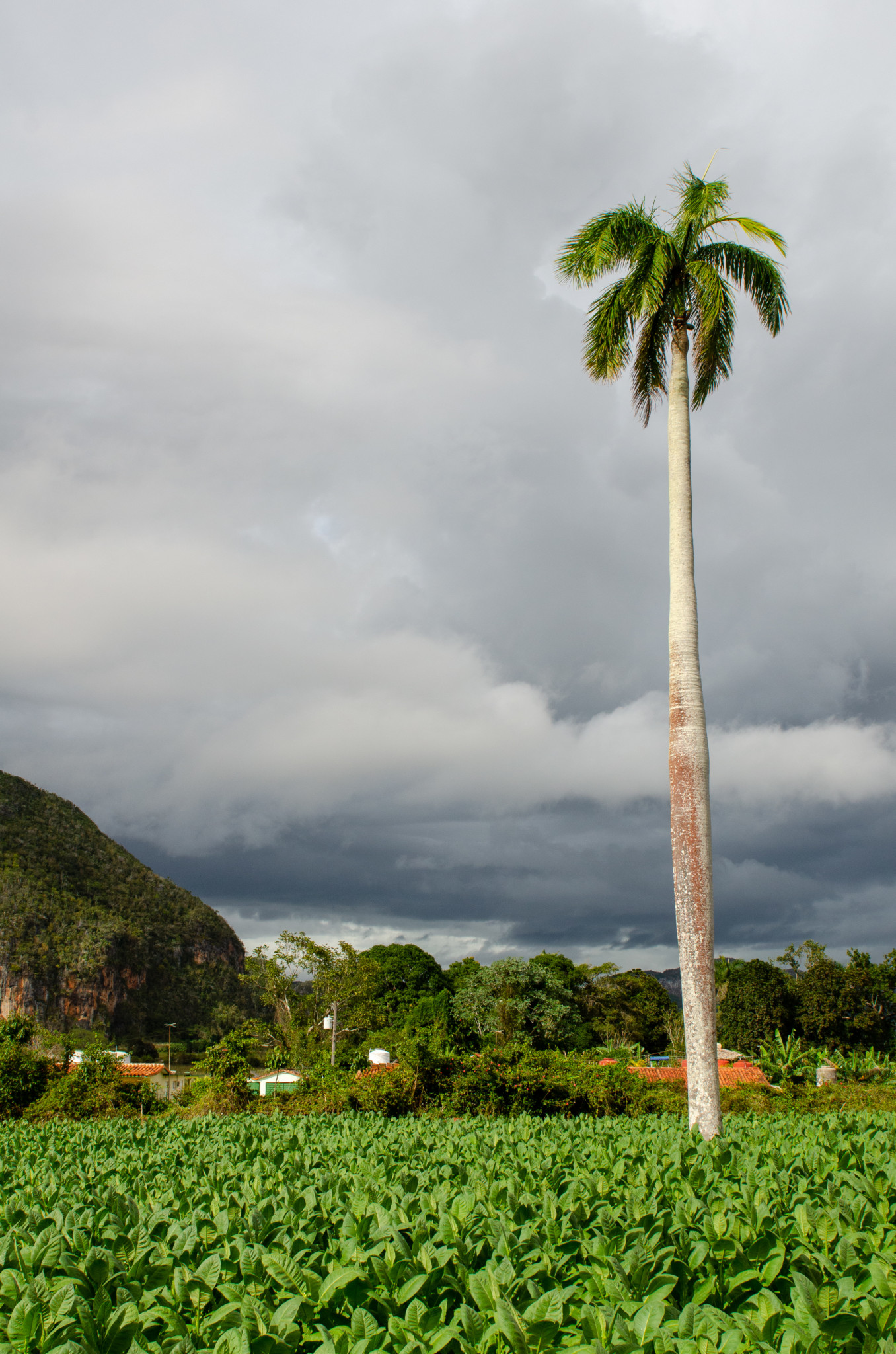 Unberührte Landschaft in Vinales