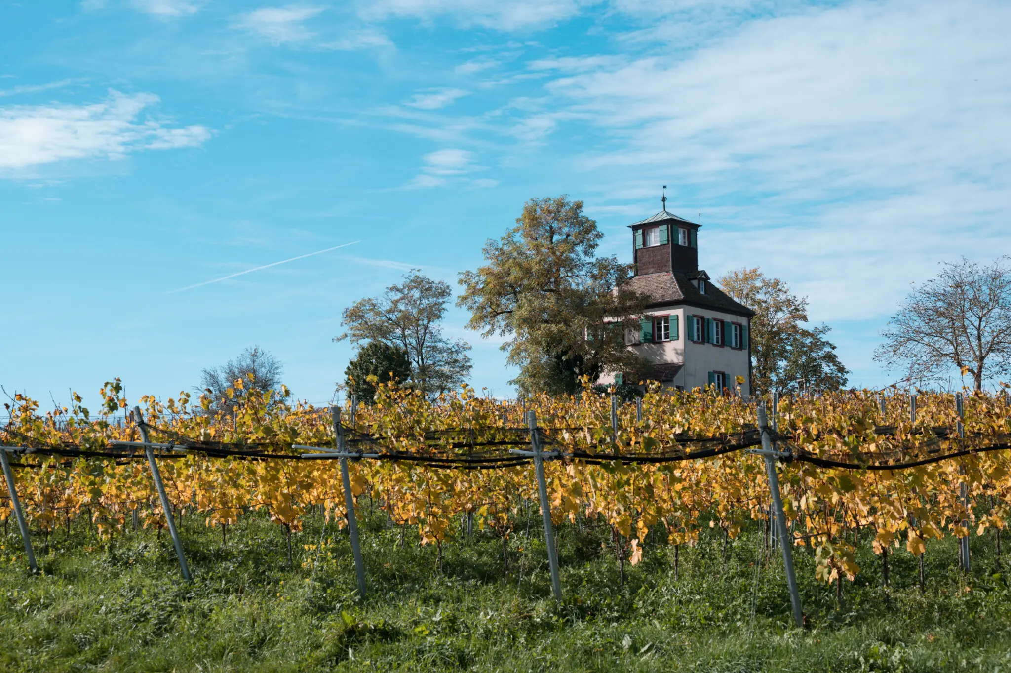 Vor allem im Herbst ist die Insel Reichenau wunderschön