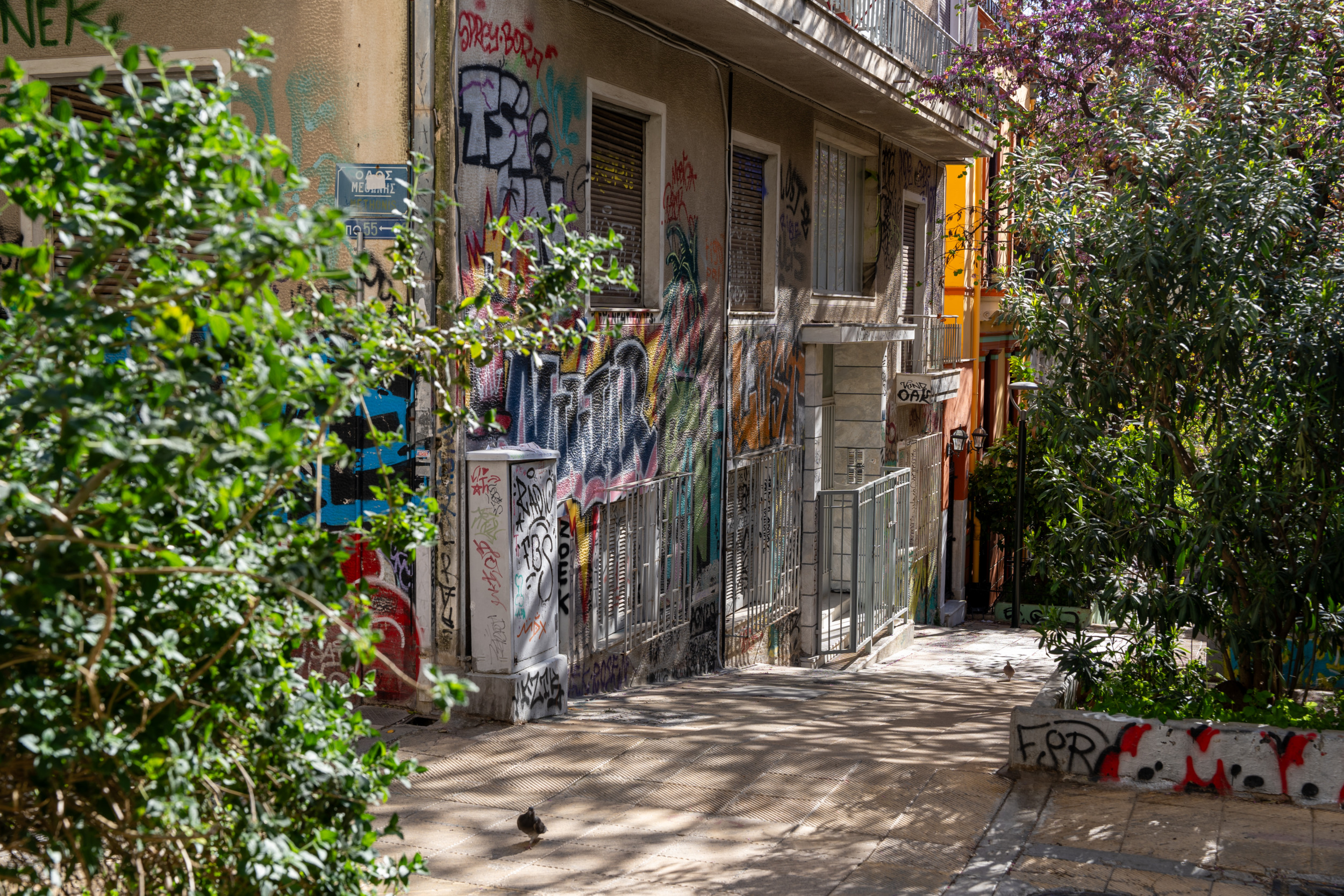 Exarchia ist urban, alternativ und grün