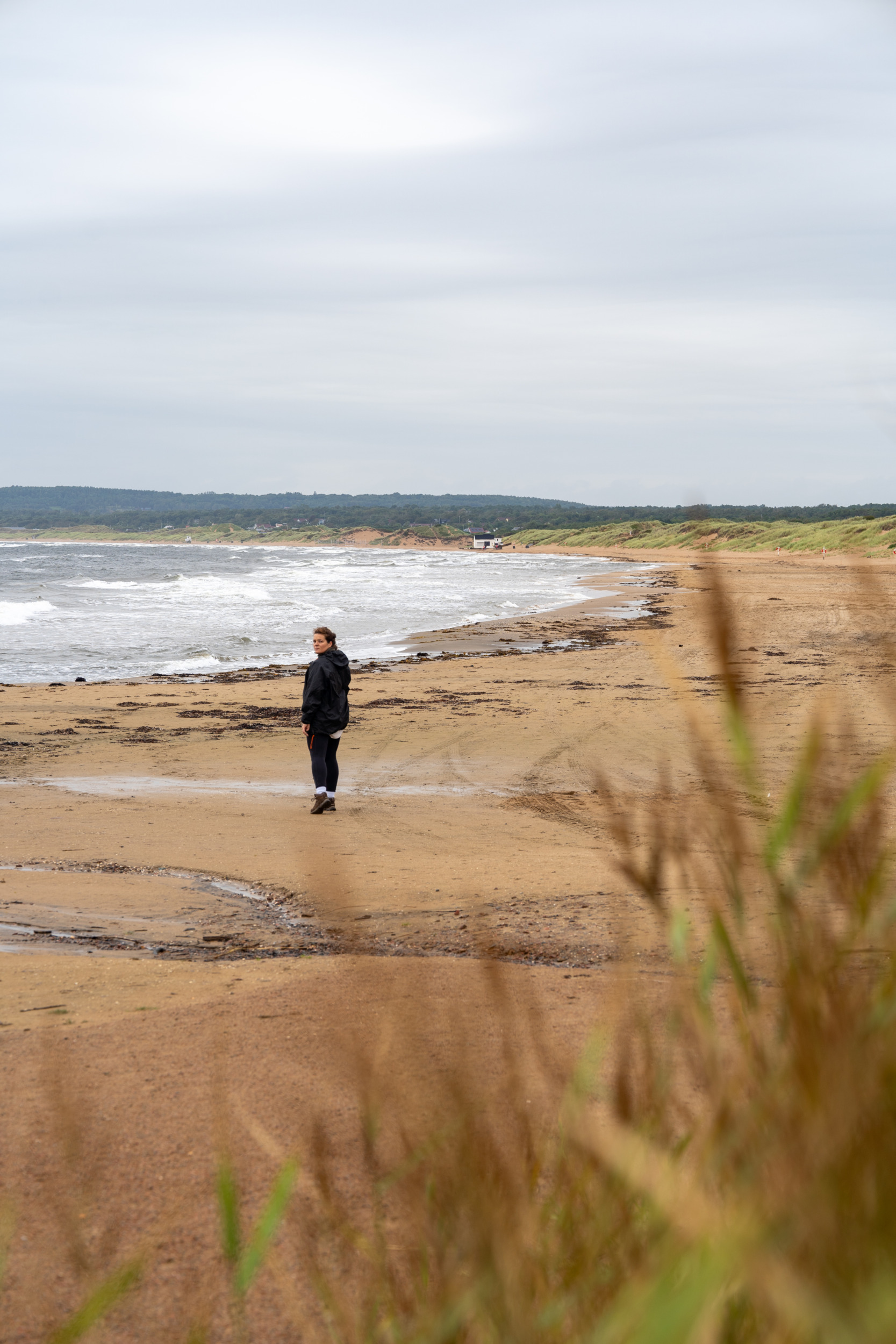 Tylösand Strand