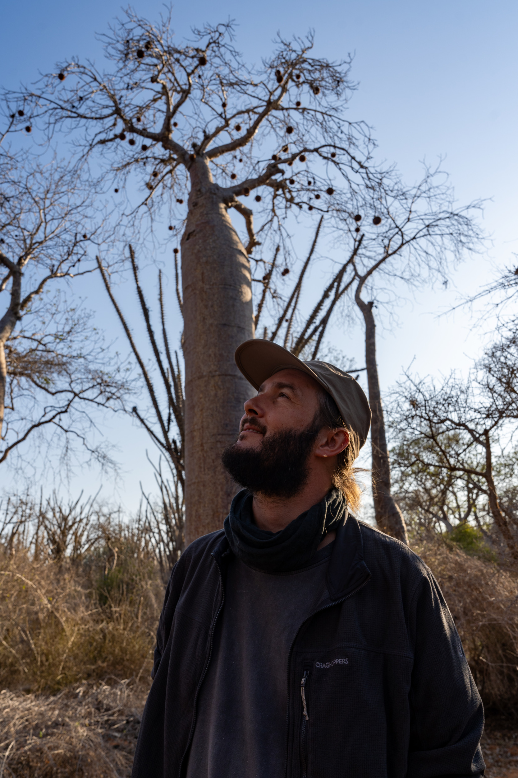 Baobab Ifaty