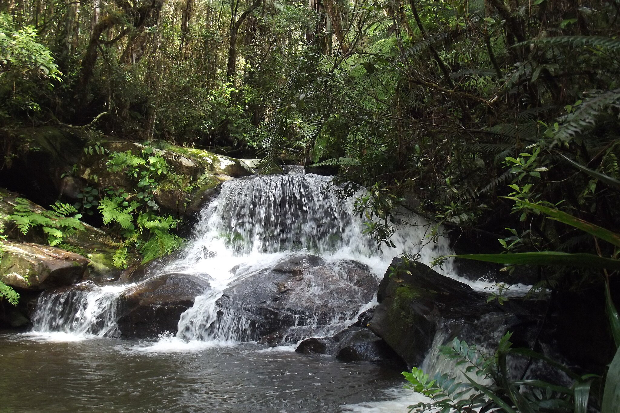 Wasserfall Andasibe Mantadia Nationalpark