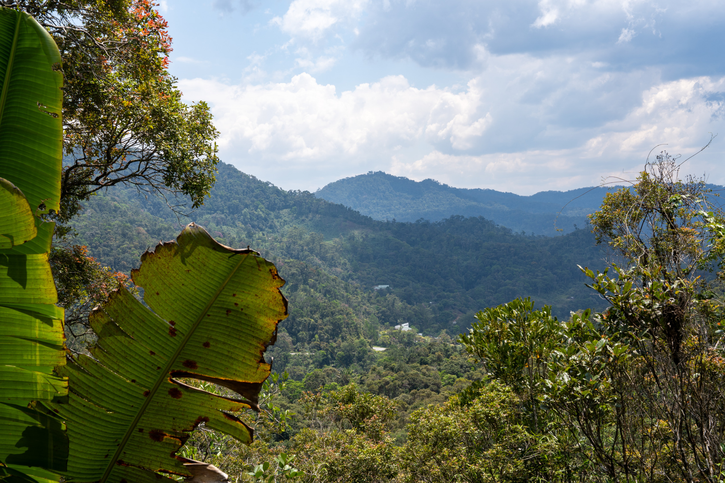 Ausblick Ranomafana Nationalpark