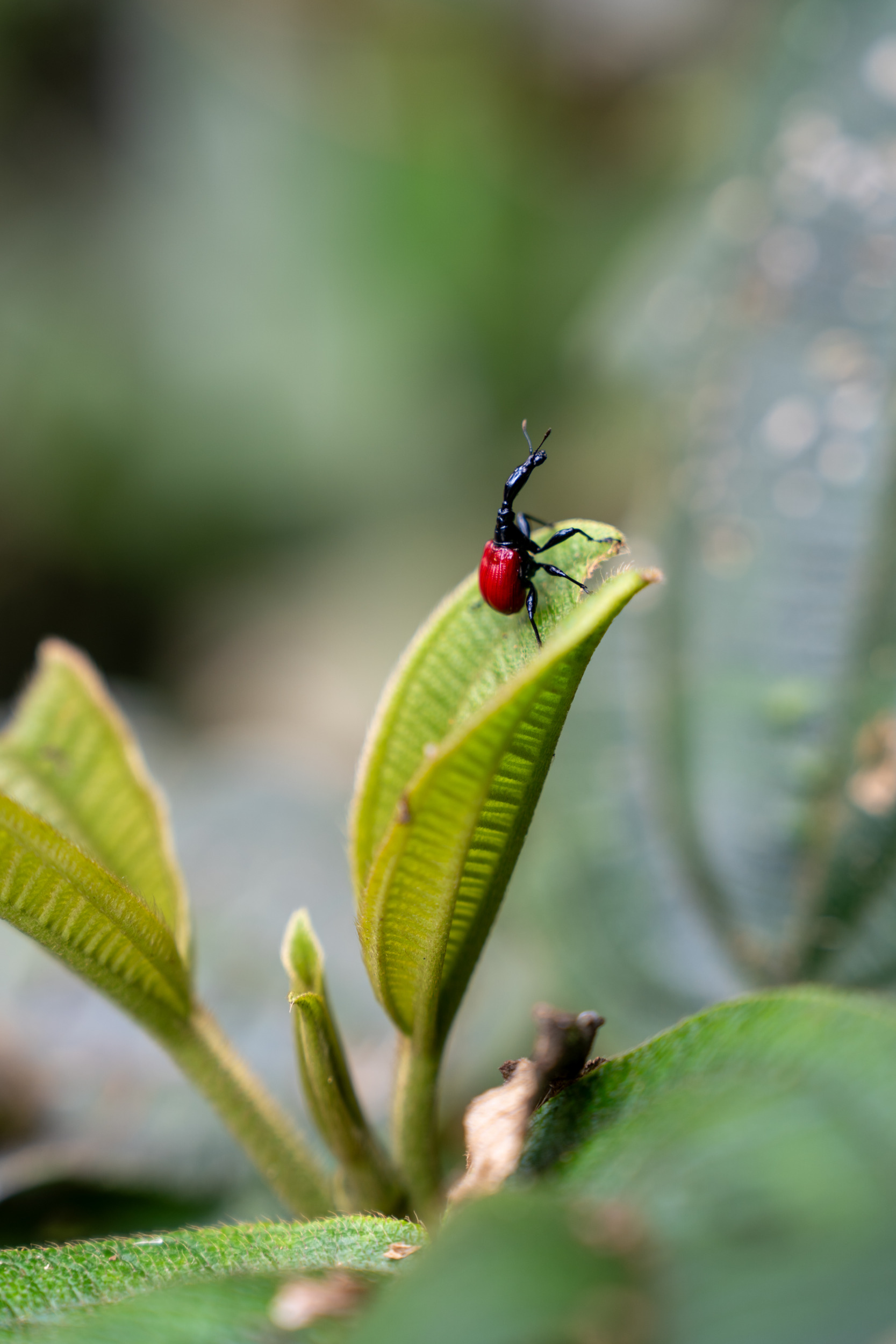 Wandern Madagaskar