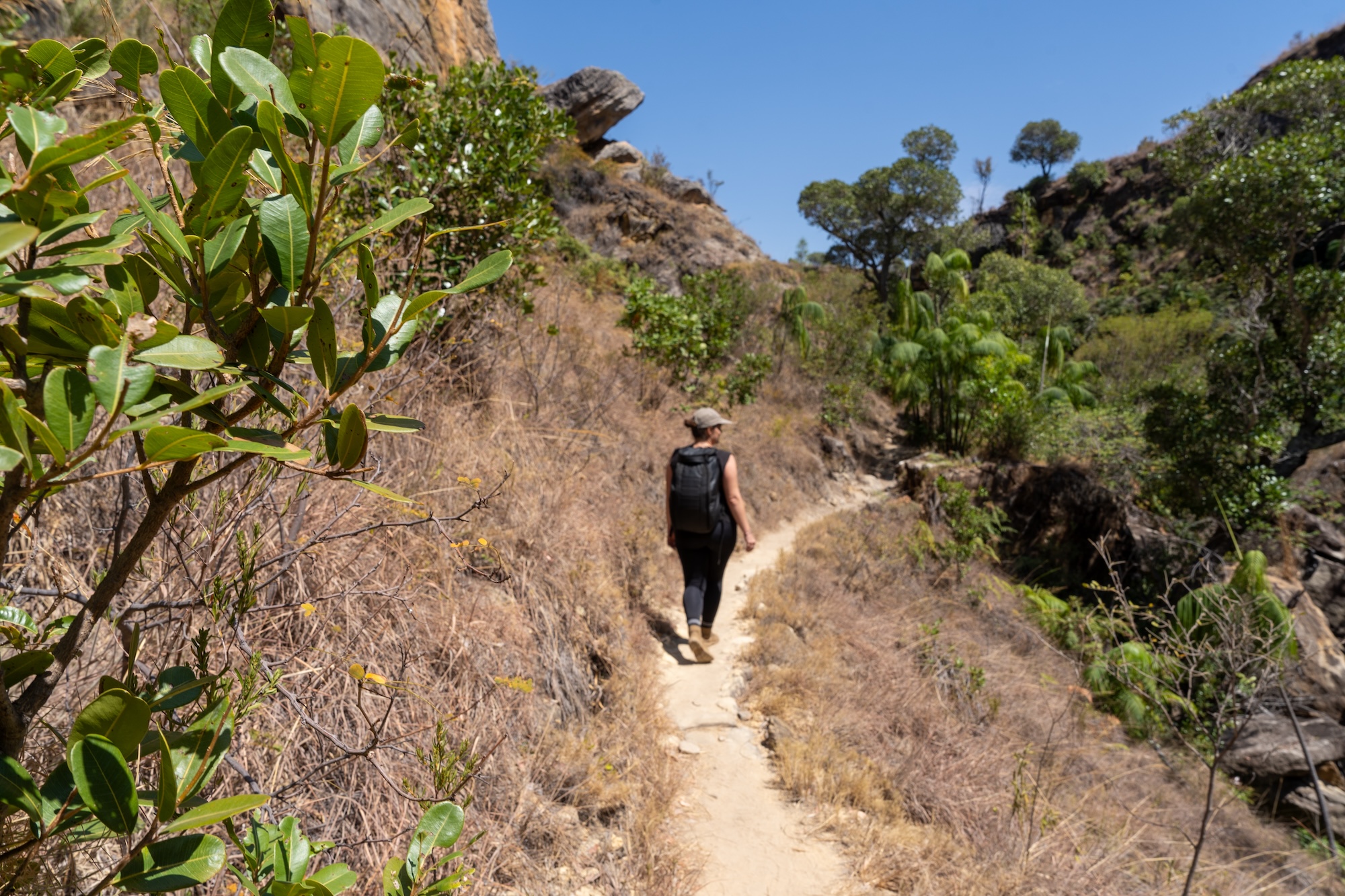 Wandern Isalo-Nationalpark