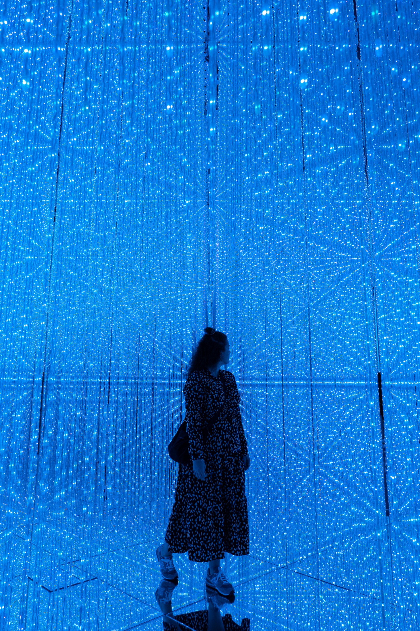 teamLab Borderless Tokyo