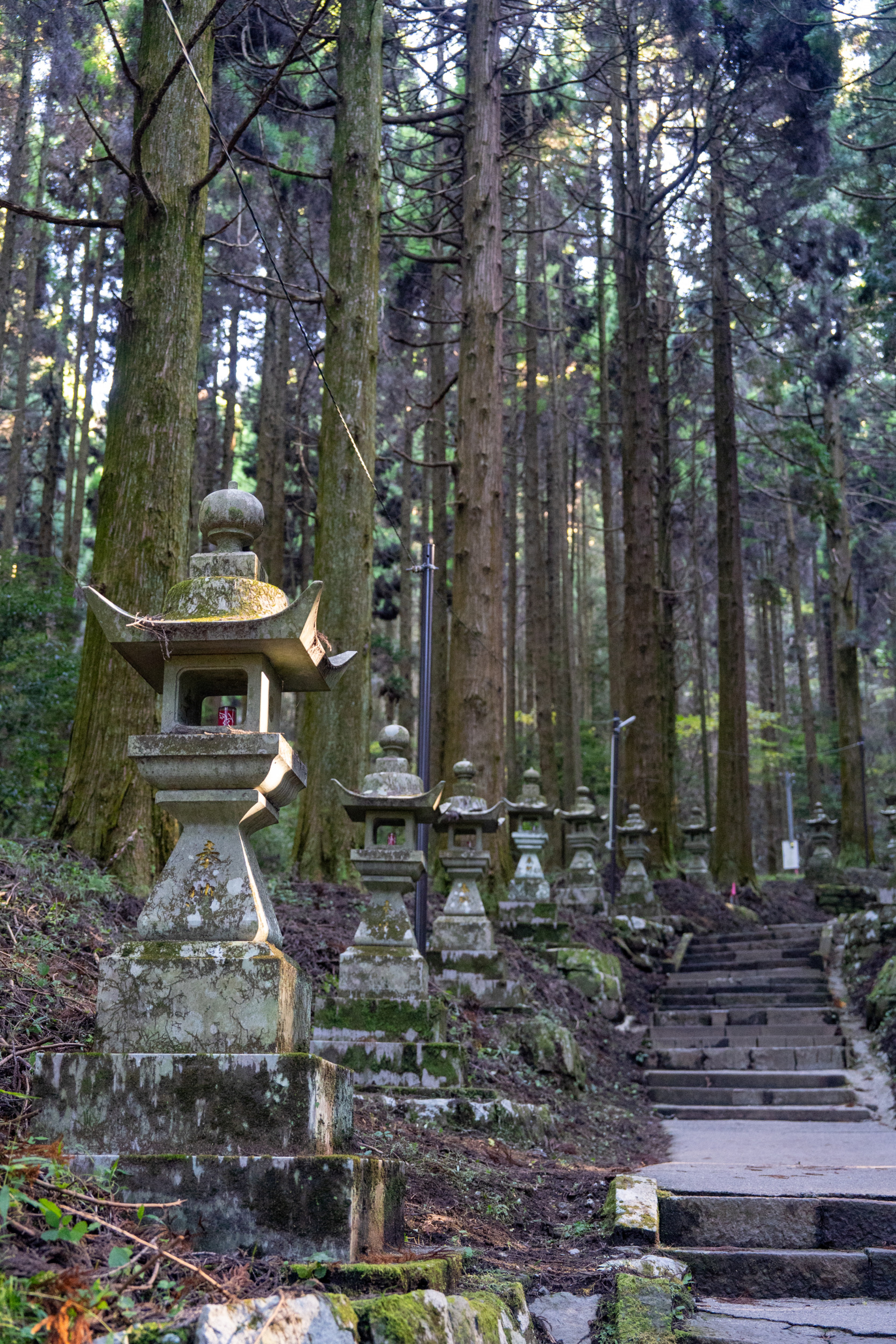 Kamishikimi Kumanoismasu Schrein, Kyushu, Japan