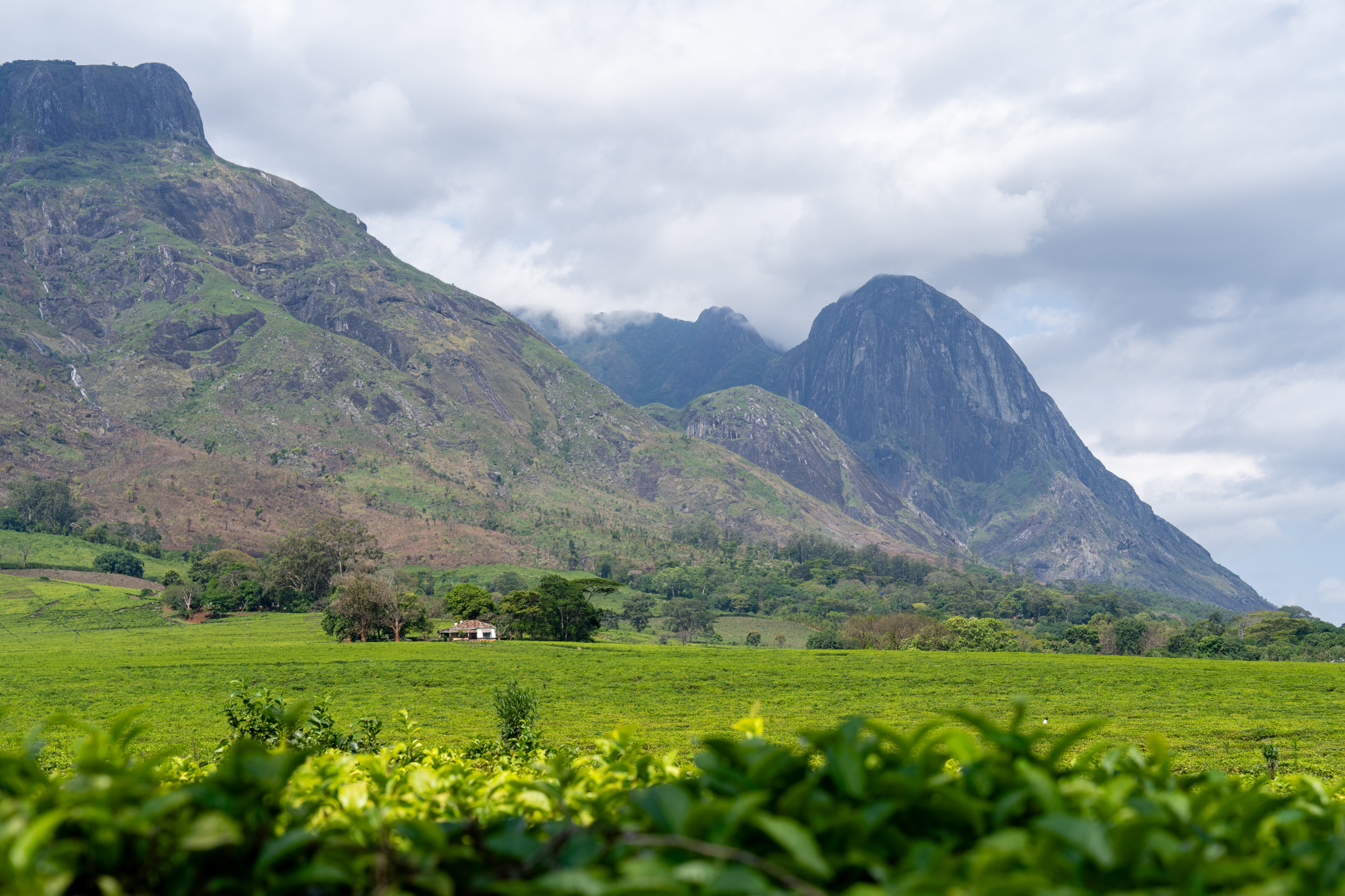 Mulanje-Bergmassiv